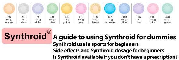 a guide to using Synthroid for dummies
