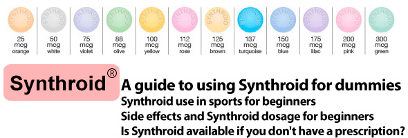 a-detailed-guide-to-using-synthroid-for-dummies