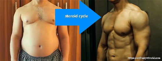 steroid cycle